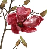 Magnolienzweig, 5x verzweigt, 4 Blumen, 5 große Blütenknospen, 17 kleine Knospen, 107 cm