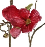 Magnolia branch, 5 branches, 4 flowers, 5 large flower buds, 17 small buds, 107 cm