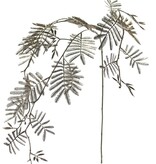 Mimosenzweig (Acacia dealbata) 3x verzweigt, 29 Blattwedel aus Plastik, 110 cm