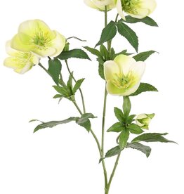 Helleborus spray, 3x branched with 7 flowers, 2 buds & 8 sets of leaves, 48 cm