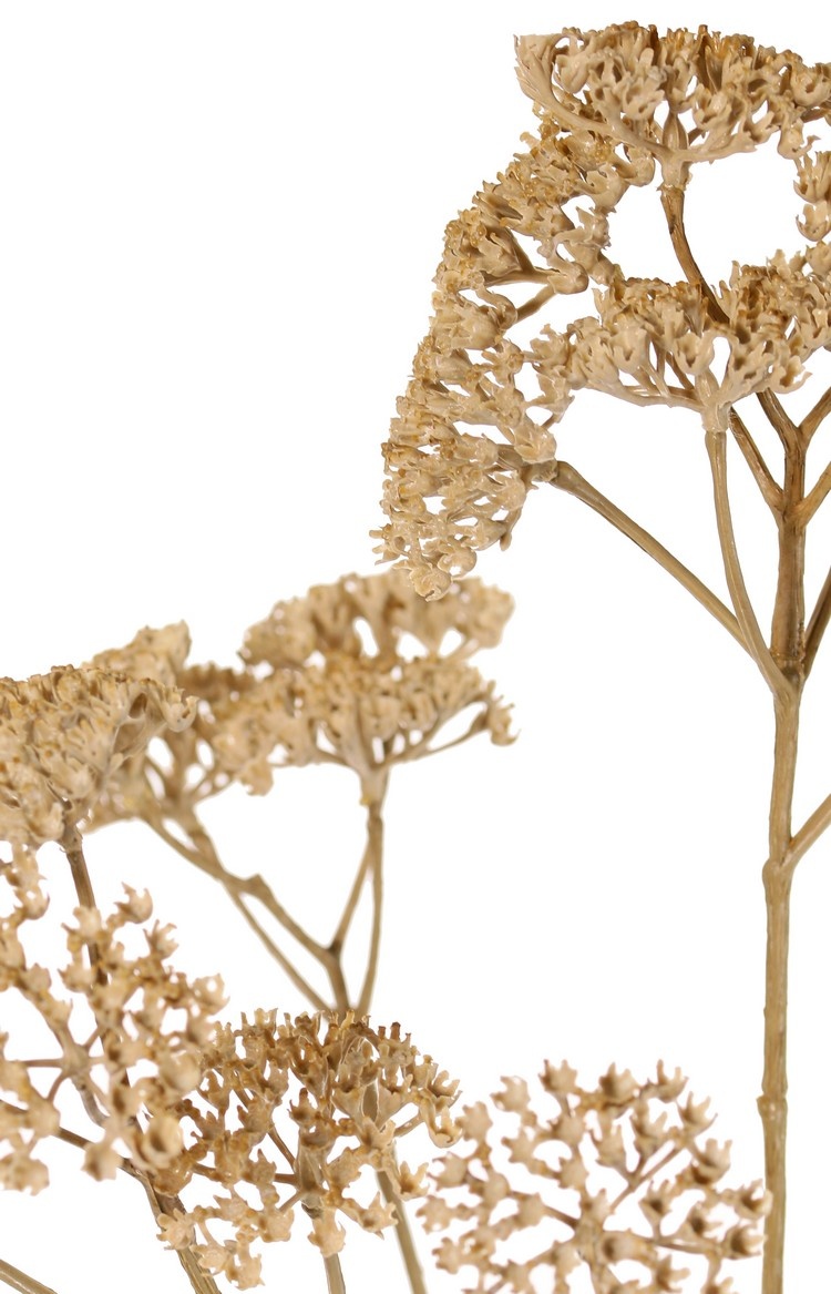 Achillea (plastic) 5x branched, 21 clusters of flowers (Ø 4 cm), 71 cm
