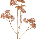 Achillea - Schafgarbe, 'Metallic' 5x verzweigt, 23 Blütenstände (Ø 4 cm) 71 cm