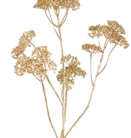 Achillea 'Metallic' 5x branched & 23 clusters of flowers (Ø 4 cm) 71 cm