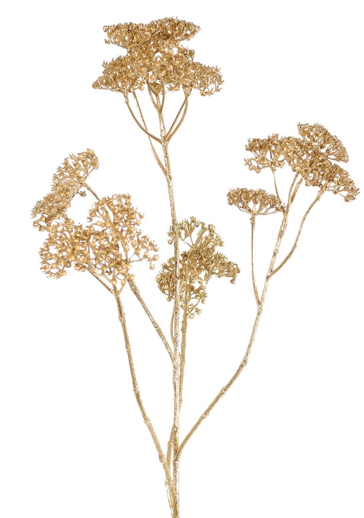 Achillea - Milenrama, 'Metálica' 5x ramificada, 23 inflorescencias (Ø 4 cm) 71 cm