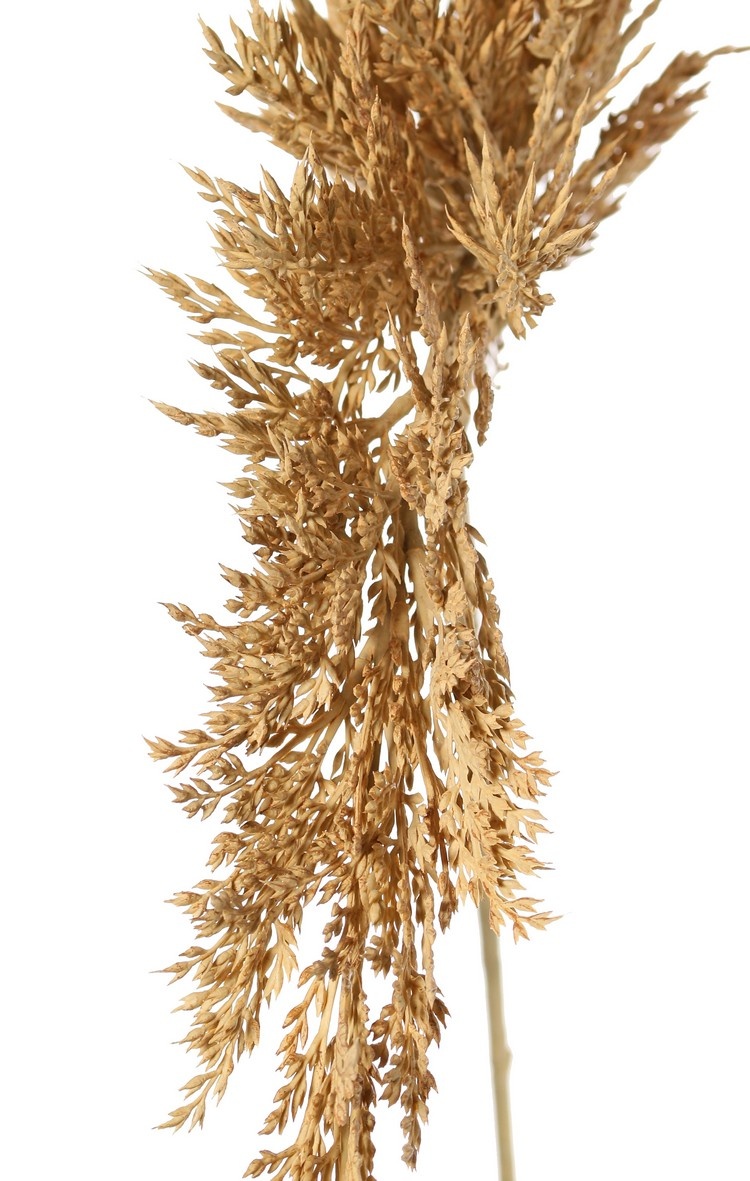 Sorghum 46 cm, (plastic) with plastic brown stem, total 96 cm