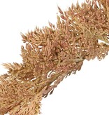 Sorghum 46 cm, (plastic) with plastic brown stem, total 96 cm