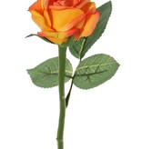 Rose "Nina" Ø5cm, x3Blt, 27cm