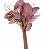 Amaryllis 'Glamour', 3 bloemen Ø 9 cm, H. 14 cm, (velvet & polyester), gouden plastic meeldraden, 69 cm