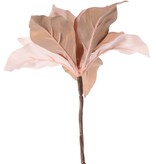 Poinsettia (Christmas flower) 'Glamour', 1 flower (Ø 23 cm, H. 5 cm), (velvet & polyester) golden flower heart, 55 cm