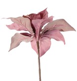 Poinsettia (Christmas flower) 'Glamour', 1 flower (Ø 23 cm, H. 5 cm), (velvet & polyester) golden flower heart, 55 cm