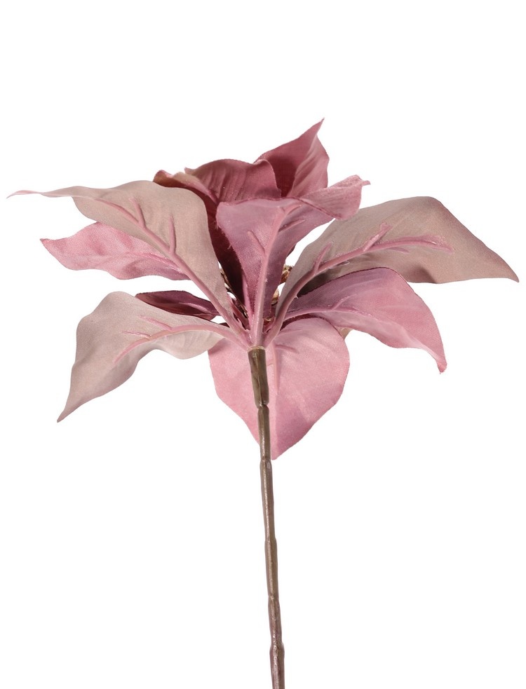 Kerstster (Poinsettia) 'Glamour', 1 bloem (Ø 23 cm, H. 5 cm), (velvet & polyester) gouden bloemhart, 55 cm