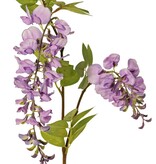 Wisteria "de luxe",  Blauregen, 2 Blumen, (30cm/15cm), 29 Blätter, 105cm lang