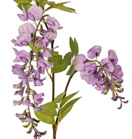 Wisteria "de luxe",  Blauregen, 2 Blumen, (30cm/15cm), 29 Blätter, 105cm lang