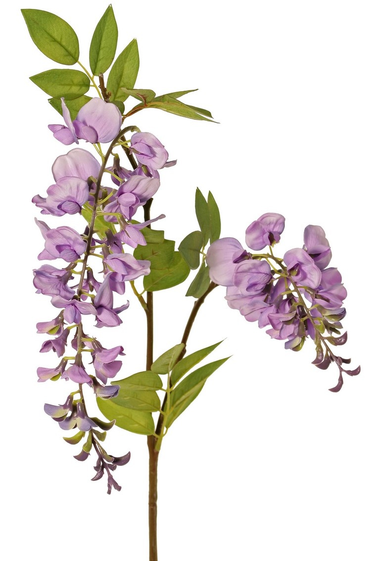 Wisteria "de luxe", blauweregen, met 2 bloemen (30cm/15cm) en 29 blaadjes, 105cm