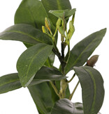 Mangrove Branch with 36 leaves and berries, fire retardant, 58 cm
