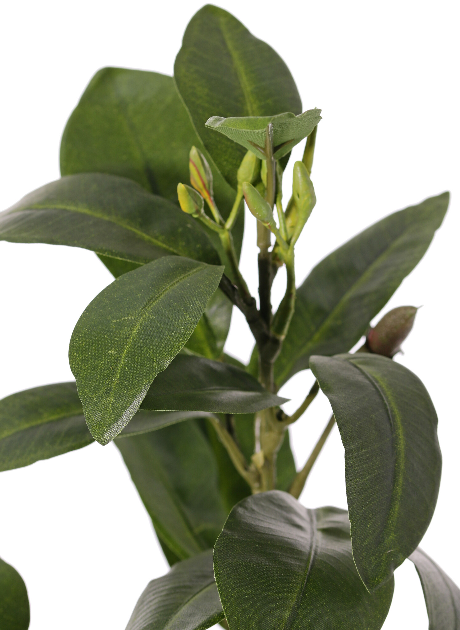 Mangrove Branch with 36 leaves and berries, fire retardant, 58 cm