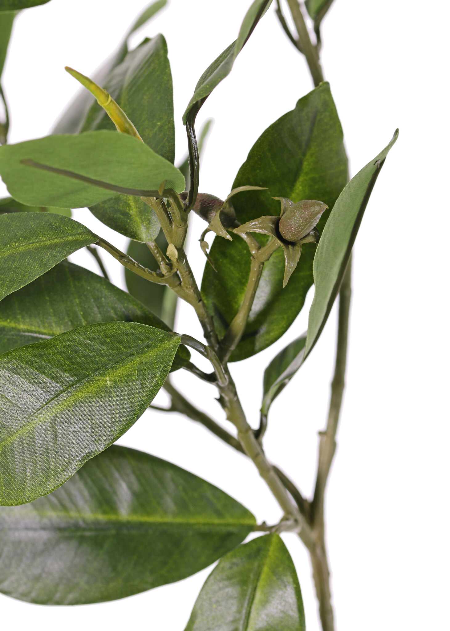 Rama de mangle con 36 hojas y bayas, ignífuga, 58 cm