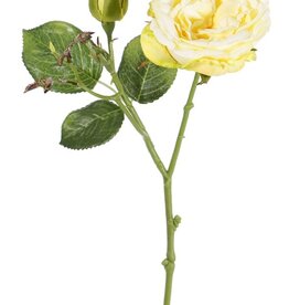 Rose twig "little joy" 1 flower, 1 bud, 38cm, Ø 8cm