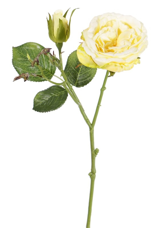 Rose twig "little joy" 1 flower, 1 bud, 38cm, Ø 8cm