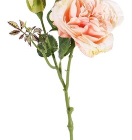 Rose twig "little joy" 1 flower, 1 bud, 38cm, Ø 8cm - special offer