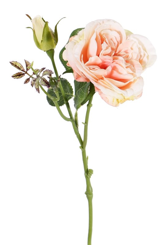 Rose twig "little joy" 1 flower, 1 bud, 38cm, Ø 8cm - special offer