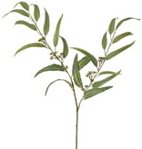 Eukalyptuszweig (Gummibaum) mit 21 Polyesterblättern und Kunststoffbeeren, 91 cm