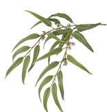 Eucalyptus branch with 21 polyester leaves and plastic berries, 91 cm