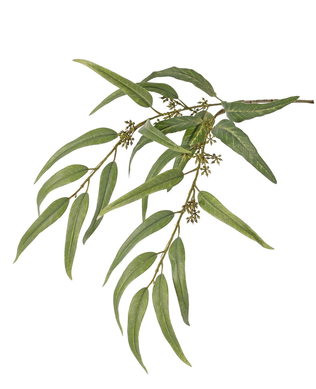 Eucalyptus branch with 21 polyester leaves and plastic berries, 91 cm