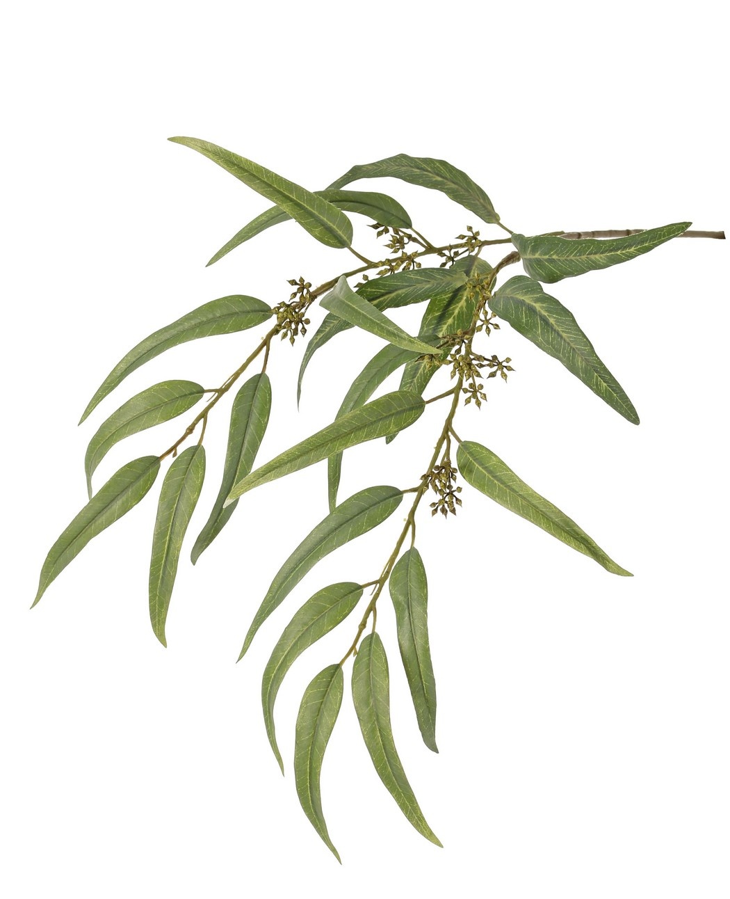 Eukalyptuszweig (Gummibaum) mit 21 Polyesterblättern und Kunststoffbeeren, 91 cm