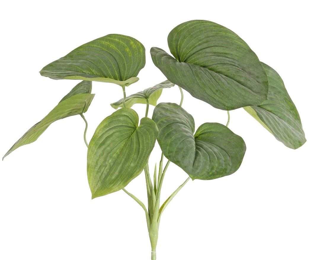 Hosta groß (Herzlilie) mit 7 Blättern (2 x L, 3 x M, 2 x S) 66 cm