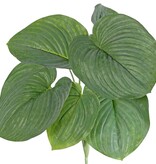 Hosta grande (lirio de corazón) con 7 hojas (2 x L, 3 x M, 2 x S) 66 cm