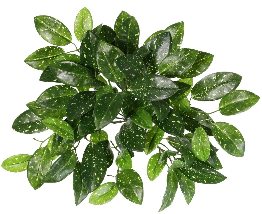 Hoya plant (Wasbloem) met 14 uitlopers & 82 bladeren, (22 x L, 38 x M, 22 x S) 35 cm
