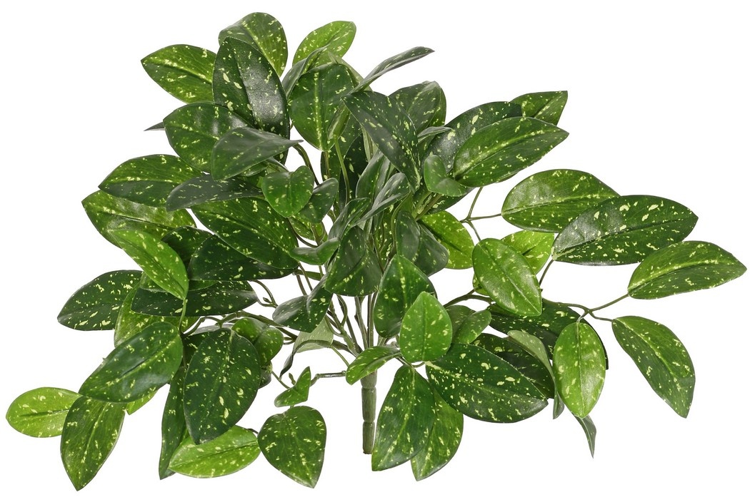 Planta hoya (flor de cera) con 14 retoños y 82 hojas, (22 x L, 38 x M, 22 x S) 35 cm
