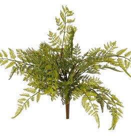 Fern 'Woods' large, 9-fold branched, with 25 PE leaves, Ø 45 cm, H 40 cm