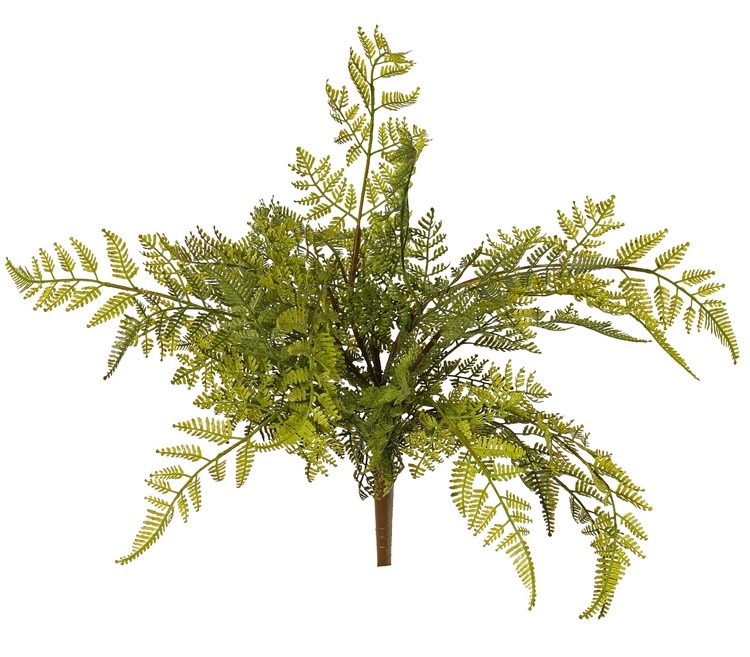 Fern 'Woods' large, 9-fold branched, with 25 PE leaves, Ø 45 cm, H 40 cm