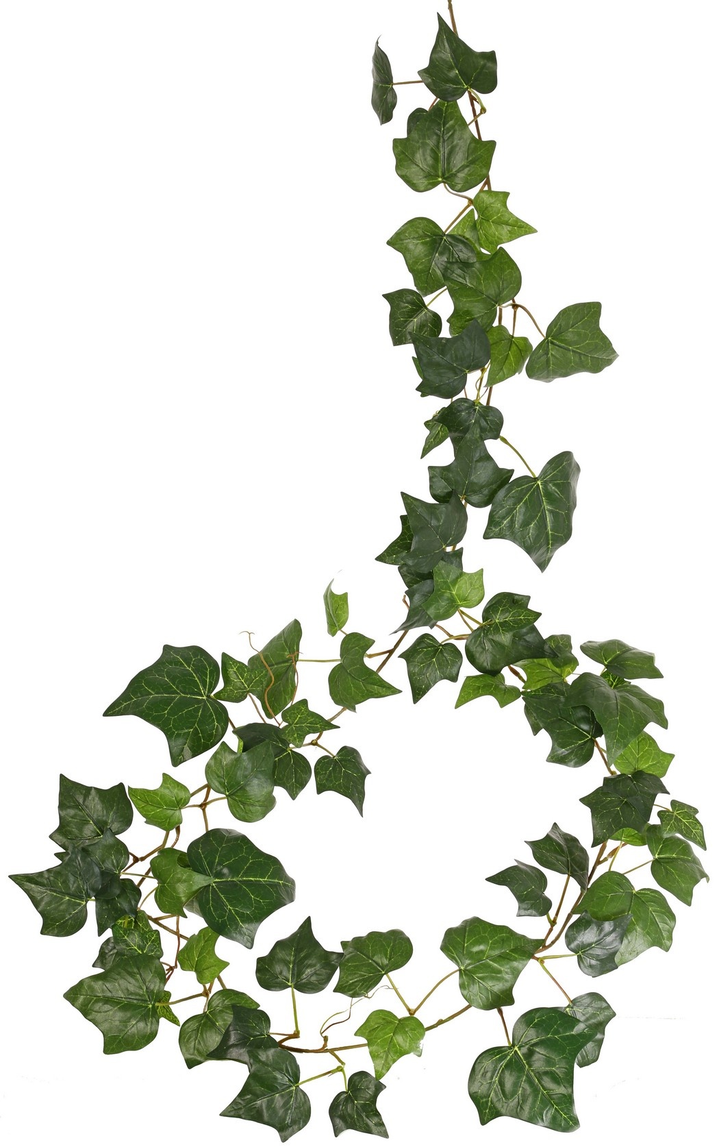 Hedera (English) garland with 86 polyester leaves, 180 cm