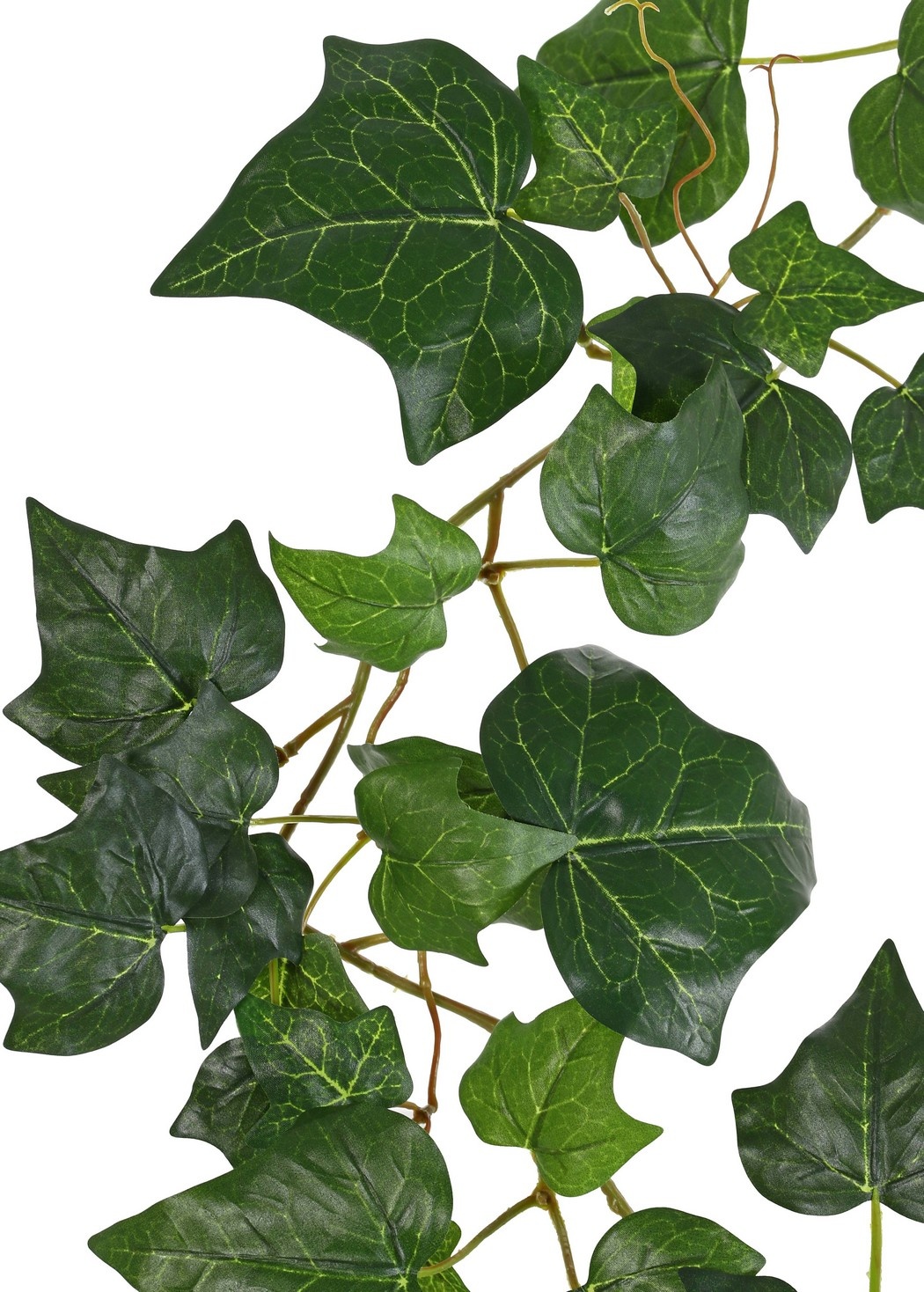 Hedera (English) garland with 86 polyester leaves, 180 cm