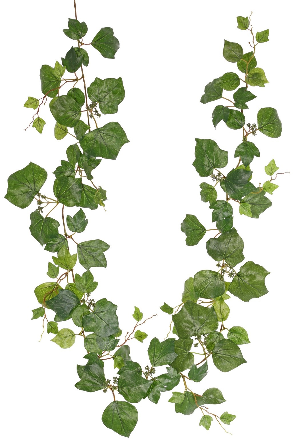 Guirnalda de hedera (francés), con 104 hojas y 9 racimos de bayas verdes, 180 cm