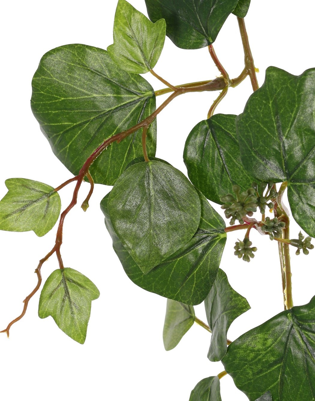 Guirnalda de hedera (francés), con 104 hojas y 9 racimos de bayas verdes, 180 cm