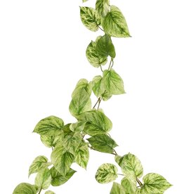 Pothos (Epipremnum)-Girlande mit 65 Polyesterblättern, 180 cm