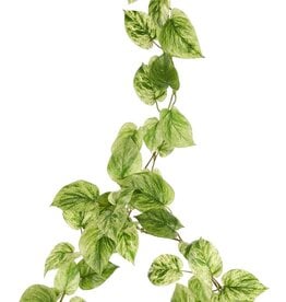 Pothos (Epipremnum) slinger met 65 polyester bladeren, 180 cm