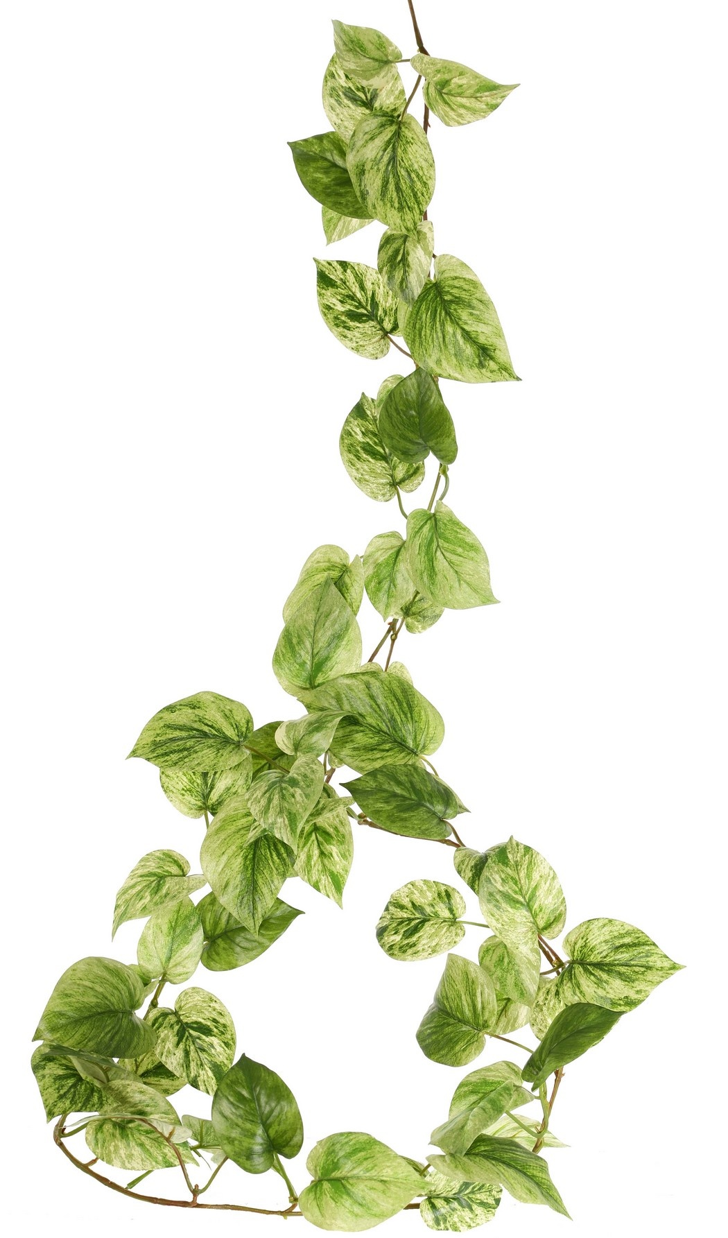 Guirnalda de Pothos (Epipremnum) con 65 hojas de poliéster, 180 cm