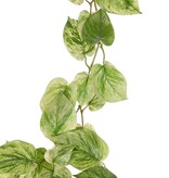 Pothos (Epipremnum) garland with 65 polyester leaves, 180 cm