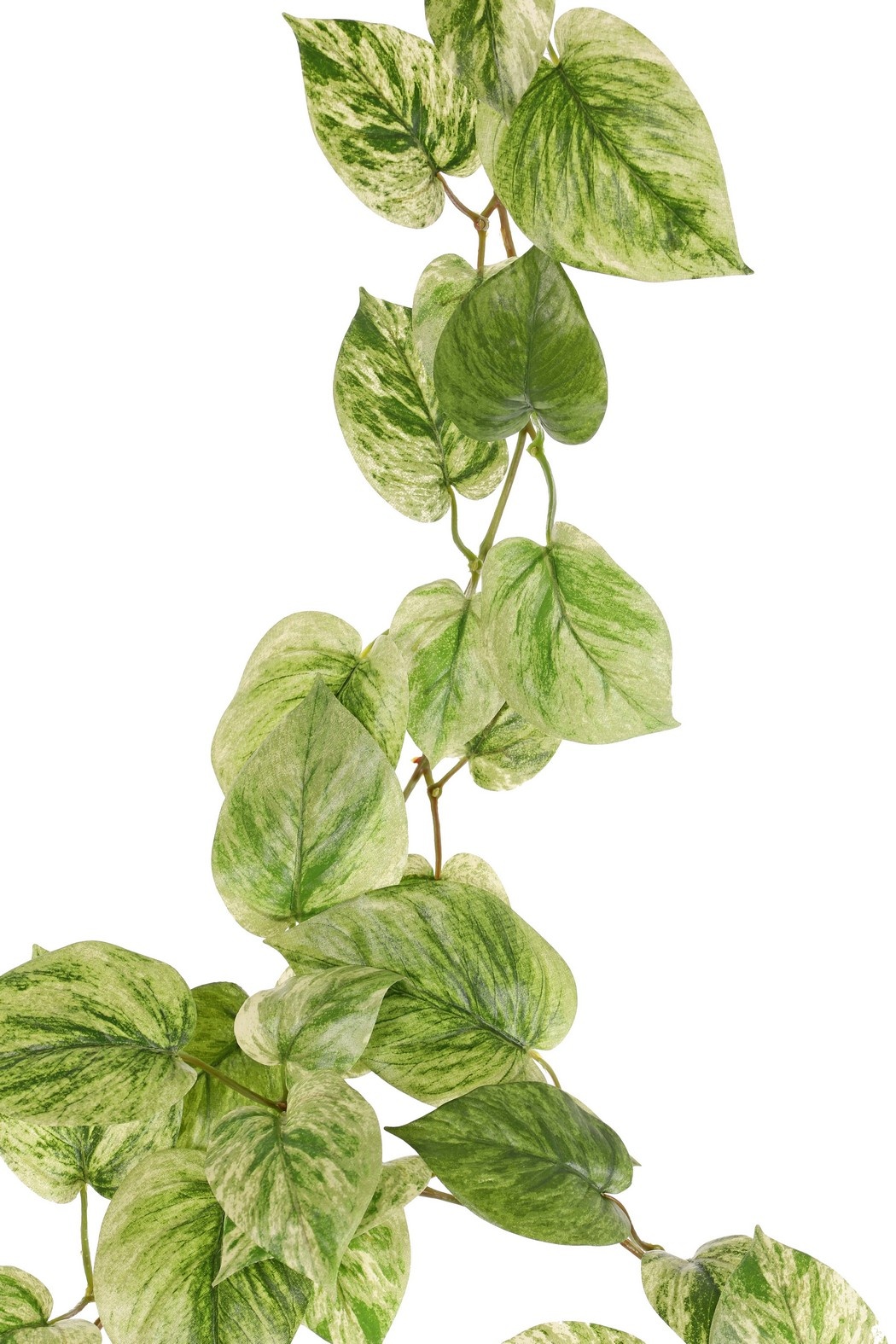 Pothos (Epipremnum)-Girlande mit 65 Polyesterblättern, 180 cm