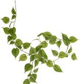 Guirnalda de filodendro con 65 hojas, 2 tonos de verde, 180 cm