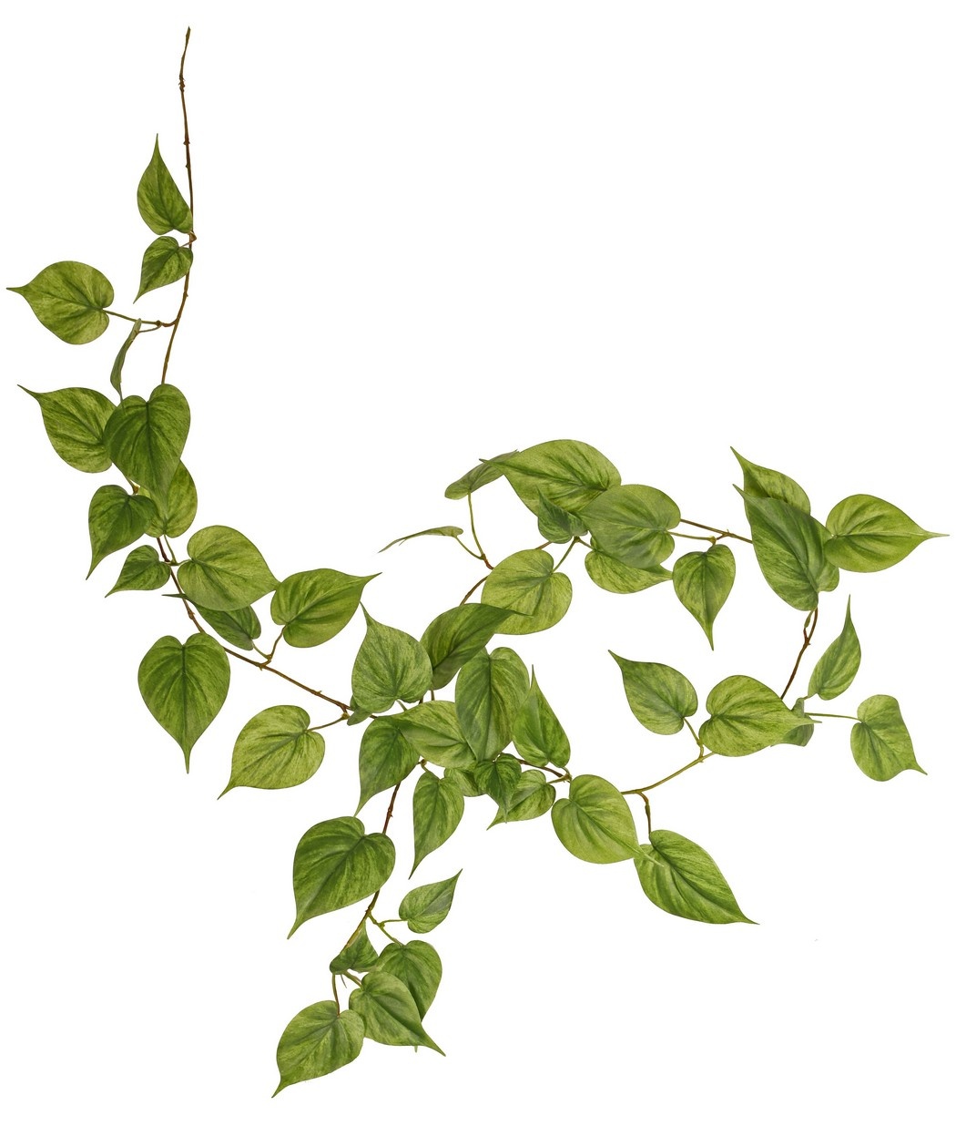 Guirnalda de filodendro con 65 hojas, 2 tonos de verde, 180 cm
