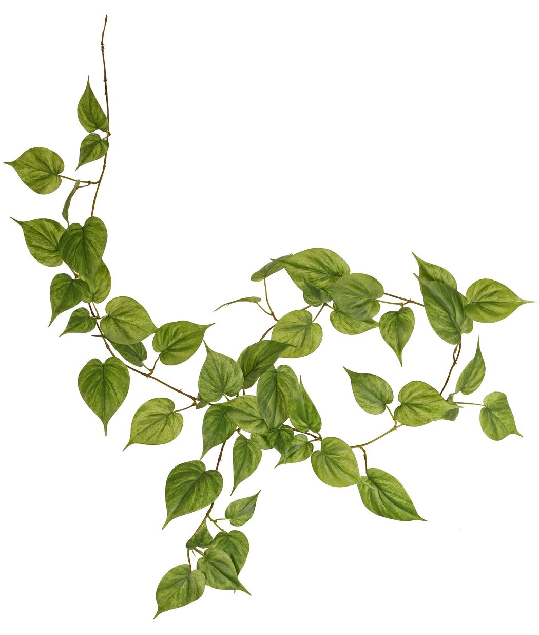 Philodendron garland with 65 leaves, 2 shades of green, 180 cm