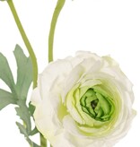 Ranonkel (Ranunculus) 2 bloem (Ø 9cm/ Ø 4cm), 1 knop & 4 blad, flocked, 40cm