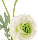 Ranunculus,  2 flores, (Ø 9cm/ Ø 4cm), 1 capullo,  4 hojas, flocado, 40cm