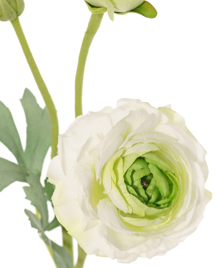 Ranunculus,  2 flores, (Ø 9cm/ Ø 4cm), 1 capullo,  4 hojas, flocado, 40cm